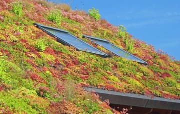 Pennar living roof systems